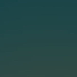 Meet your Posher, Alan